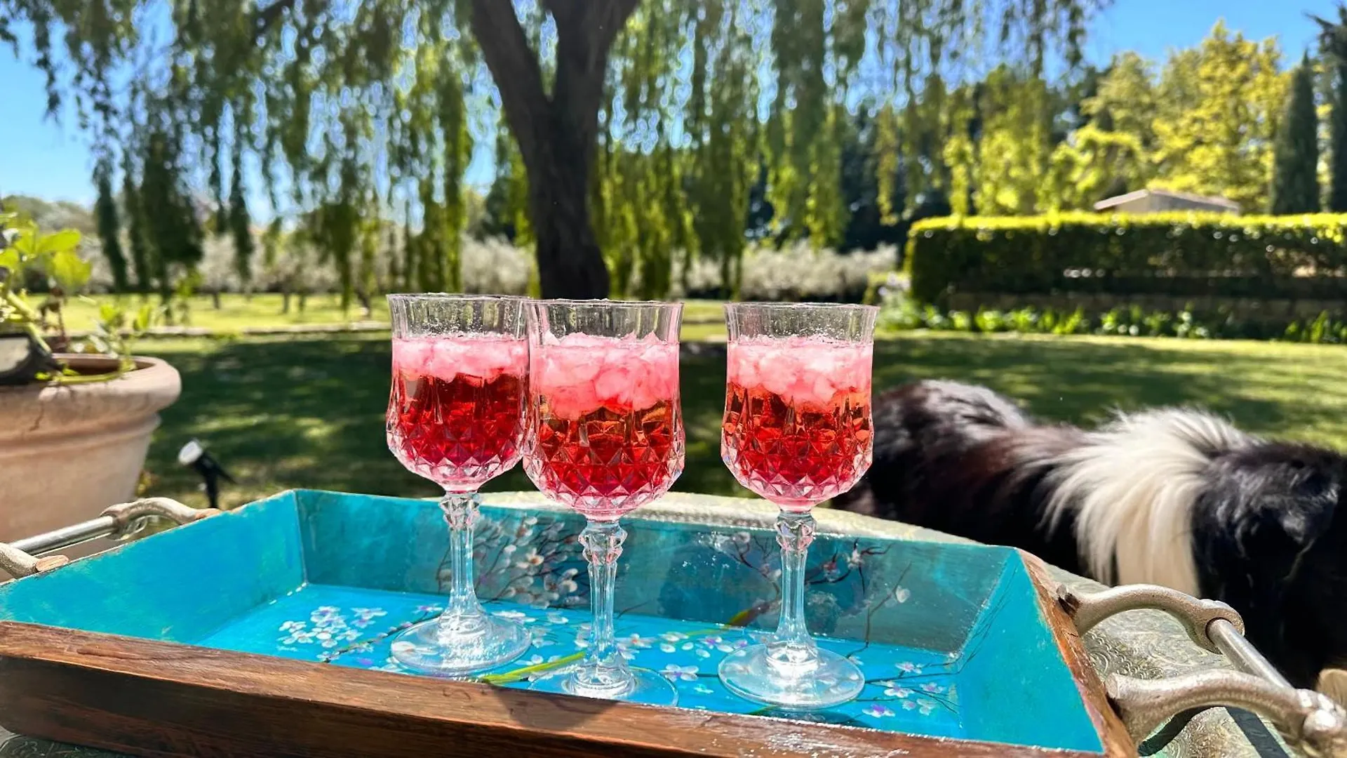 Mas Artistique Villa Puyvert